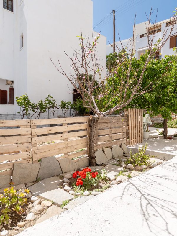 Amaranto Naxos 2024_0062