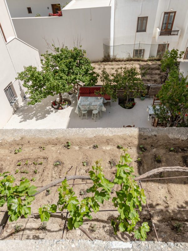 Amaranto Naxos 2024_0069